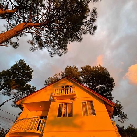 Kaprovani Villa 22 Shekhvetili Bagian luar foto