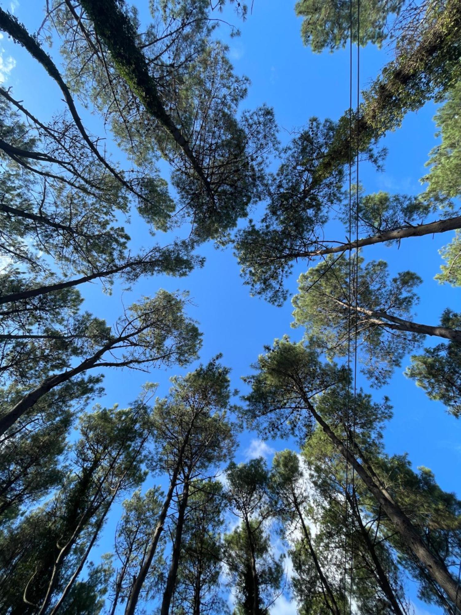 Kaprovani Villa 22 Shekhvetili Bagian luar foto
