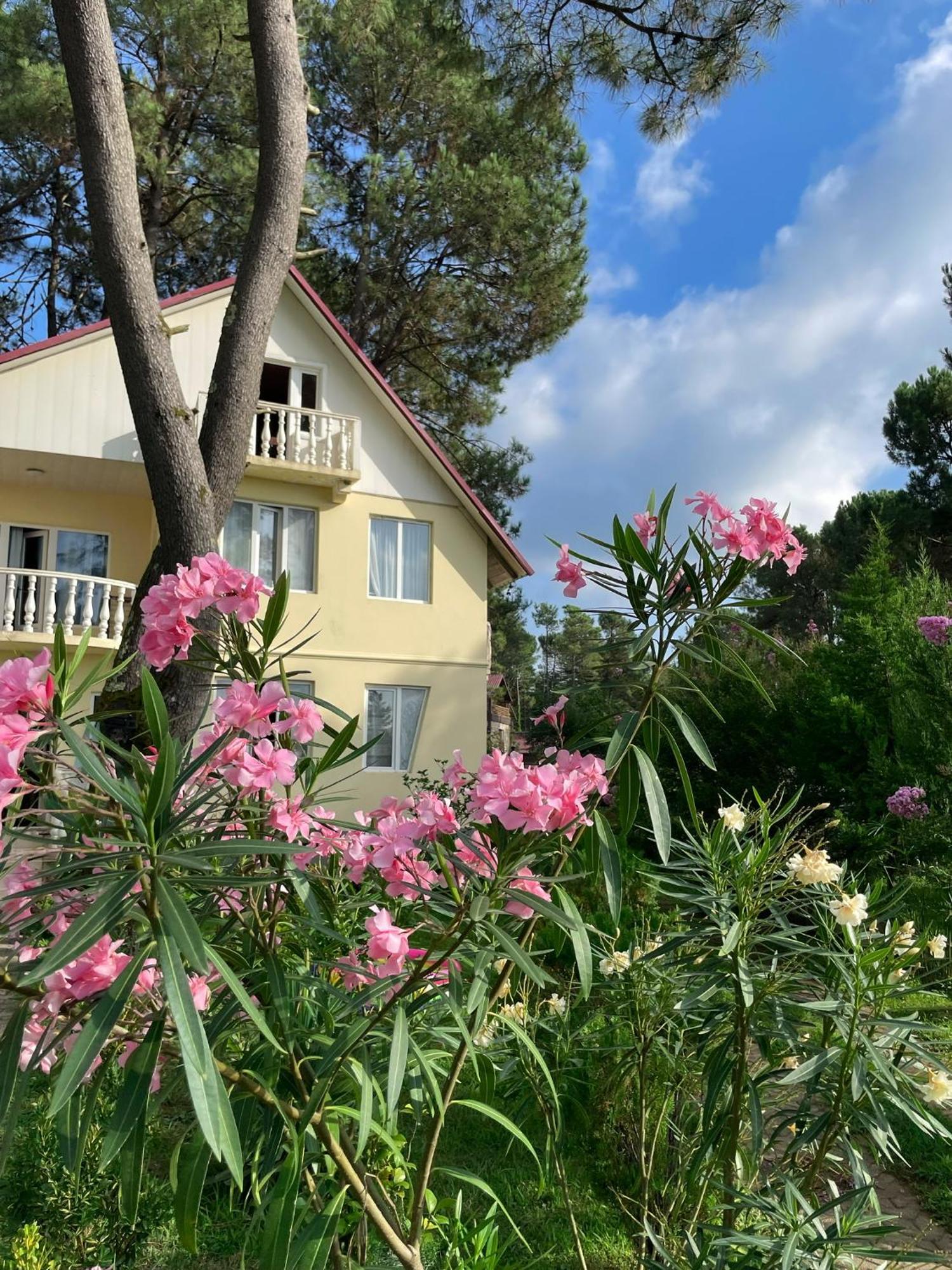 Kaprovani Villa 22 Shekhvetili Bagian luar foto