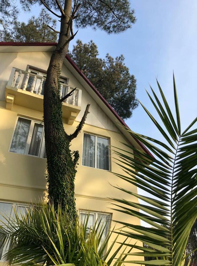 Kaprovani Villa 22 Shekhvetili Bagian luar foto